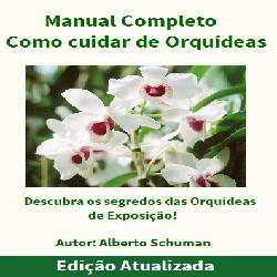capaorquidea Como cuidar das orquídeas